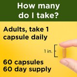 Nature Made Turmeric Curcumin 500 mg Capsules, 60 CT, thumbnail image 4 of 9