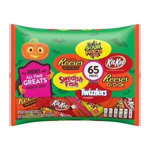 Hershey & Mondelez Assorted Chocolate, Peanut Butter, Fruit Flavored Snack Size Candy, 65 CT