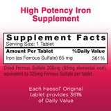 Feosol Ferrous Sulfate Iron Supplement Tablets, 120 CT, thumbnail image 2 of 9