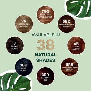 Clairol Natural Instincts Semi-Permanent Hair Color 1 Kit Clairol Natural Instincts Semi-Permanent Hair Color 1 Kit