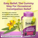Senokot Dietary Supplement Laxative* Gummies, Mixed Berry, 60 CT, thumbnail image 5 of 5