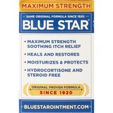 Blue Star Anti-Itch Medicated Ointment, thumbnail image 5 of 7