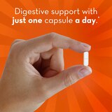 Align Probiotic Supplement Digestive Capsules, thumbnail image 3 of 9