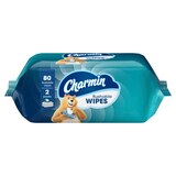 Charmin Flushable Wipes, 2 packs, 40 Wipes Per Pack, 80 Total Wipes, thumbnail image 5 of 13