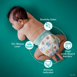 Pampers Baby Dry Pack