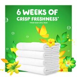 Gain Flings Liquid Laundry Detergent, Original Scent, HE Compatible, 16 CT, thumbnail image 4 of 13