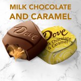 Dove Promises Milk Chocolate Caramel Candy Individually Wrapped, Bag, 7.61 oz, thumbnail image 5 of 13
