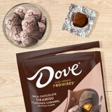 Dove Milk Chocolate Tiramisu Flavored Caramel, 6.74 oz, thumbnail image 2 of 8