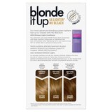 Clairol Blonde It Up, thumbnail image 5 of 5