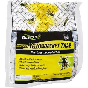 Rescue Yellow Jacket Trap, Disposable , CVS
