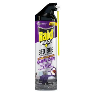 Raid Max, Bed Bug Crack and Crevice Extended Protection, Foaming Spray, 17.5 oz
