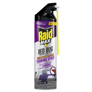 Raid Max, Bed Bug Crack And Crevice Extended Protection, Foaming Spray, 17.5 Oz , CVS