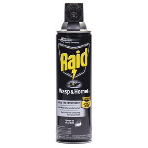 Raid - Spray exterminador de avispas y avispones