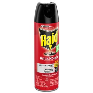 Raid Ant Roach Spray Outdoor Fresh With Photos Prices Raid Ant Roach Spray Outdoor