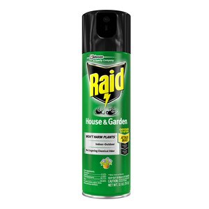 Raid House & Garden I Bug Killer Spray, Indoor/Outdoor, 11 Oz , CVS