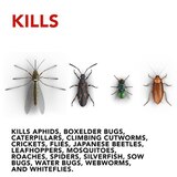 Raid House & Garden Bug Killer Spray Indoor-Outdoor, thumbnail image 5 of 5