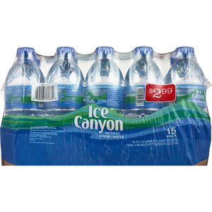 Gold Emblem Ice Canyon Natural Spring Water - 16.9 Oz , CVS