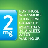 CVS Health Sugar Free Nicotine 2mg Lozenges, Cinnamon, 108 CT, thumbnail image 2 of 9