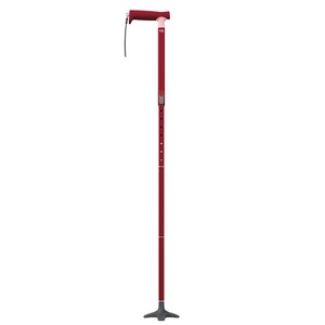 CVS Health By Michael Graves Design Health Take Along Folding Cane By Michael Graves Design, Red