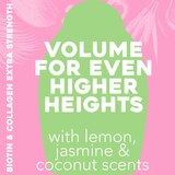 OGX Extra Strength Thick & Full + Biotin & Collagen Shampoo, thumbnail image 3 of 3