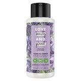 Love Beauty And Planet Smooth and Serene Argan Oil & Lavender Shampoo, 13.5 OZ, thumbnail image 1 of 8