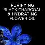 Garnier Whole Blends Black Charcoal and Nigella Flower Oil Rebalancing Shampoo, thumbnail image 4 of 7