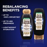 Garnier Whole Blends Black Charcoal and Nigella Flower Oil Rebalancing Conditioner, thumbnail image 3 of 7