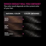 Garnier Olia Permanent Hair Color, thumbnail image 2 of 8