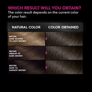 Garnier Olia Oil Powered Ammonia Free Permanent Hair Color Garnier Olia Oil Powered Ammonia Free Permanent Hair Color