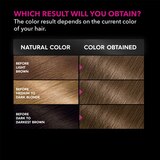 Garnier Olia Permanent Hair Color, thumbnail image 2 of 9