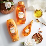 Garnier Whole Blends Moroccan Argan & Camellia Oil Extracts Illuminating Conditioner, thumbnail image 4 of 5