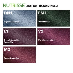 Garnier Nutrisse Ultra Color Nourishing Bold Permanent Hair Color Creme, V2  Dark Intense Violet - CVS Pharmacy