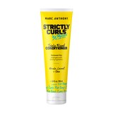 Marc Anthony Strictly Curls 3X Moisture Triple Blend Conditioner, thumbnail image 1 of 5