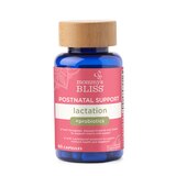 Mommy's Bliss Postnatal Lactation Support Capsules, 60 CT, thumbnail image 1 of 4