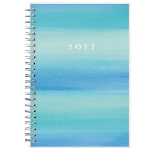 Blue Sky 2023 Tabbed Weekly And Monthly Planner, 5 In. X 8 In., Chloe Print , CVS