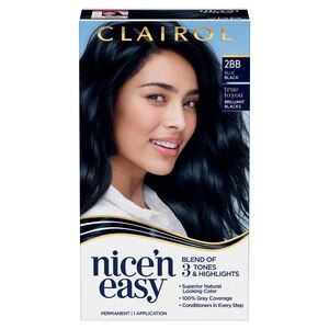 Clairol Nice'n Easy Permanent Hair Color, 2BB Blue Black - 1 , CVS