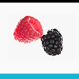 Neutrogena Skin Hydration Astaxanthin Gummies, Berry Flavor, 60 CT, thumbnail image 2 of 13