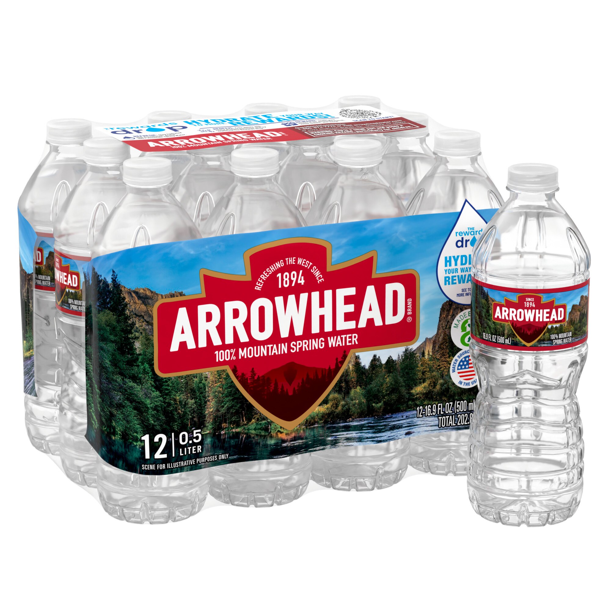  Arrowhead Brand 100% Mountain Spring Water, 16.9 OZ (Pack of 12) 