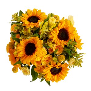 Procacci Brothers Sunny Vibes Bouquet , CVS