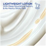 NIVEA Shea Daily Moisture Body Lotion, thumbnail image 3 of 8