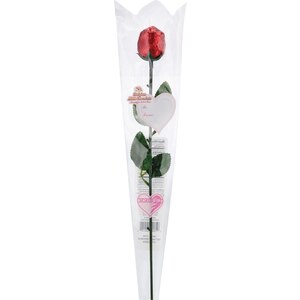 Dozen Belgian Milk Chocolate Foiled Rose Vase