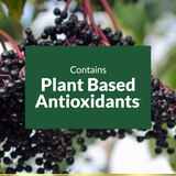 Nature's Bounty Elderberry Sambucus Softgels, 630 mg, 120 CT, thumbnail image 2 of 7