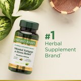 NATURE'S BOUNTY MENTAL FATIGUE & STRESS RELIEF TABLETS, thumbnail image 3 of 3
