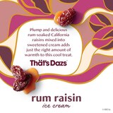 Haagen-Dazs Rum Raisin Ice Cream, 14oz, thumbnail image 4 of 9