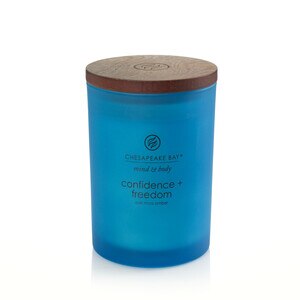 Chesapeake Bay Candle Confidence + Freedom, Oak Moss Amber, 8.8 Oz , CVS