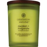 Chesapeake Bay Candle Awaken + Invigorate, Lemongrass Eucalyptus, 8.8 OZ, thumbnail image 1 of 1