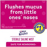 Little Remedies Sterile Saline Nasal Mist, Safe for Newborns, 2 fl oz, thumbnail image 2 of 7