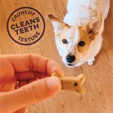 Old Mother Hubbard Classic Savory Mix Biscuits Baked Dog Treats, 16oz Bag, thumbnail image 3 of 7