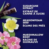 SheaMoisture Sugarcane & Meadowfoam Miracle Multi-Benefit Conditioner, 13 OZ, thumbnail image 5 of 5