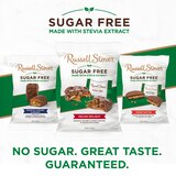 Russell Stover Sugar Free Pecan Delight Chocolate Candy, Bag, 3 oz, thumbnail image 4 of 8